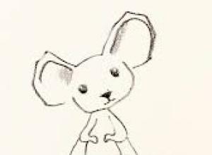 Salibonani - Topolino
